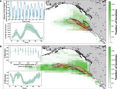 Coherent movement patterns of female northern elephant seals across the NE Pacific Ocean